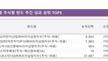 ‘삼전닉스’ 쉬어가자…2차전지·코스닥 ETF 수익률 10%대 질주[펀드와치]