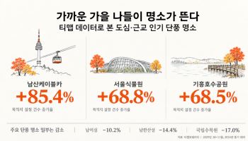 멀리 안 가고 단풍 즐긴다…남산·서울식물원 찾는 발길 급증