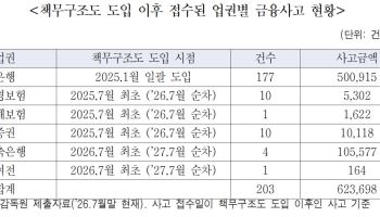 책무구조도 도입 후 금융사고 203건…임원 책임·제재는 ‘0건’