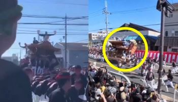 "전통이면 사람 죽어도 되나"…日 단지리 사망 영상에 누리꾼 경악