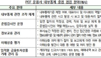 금감원, PEF 운용사 30곳 내부통제 점검…준법감시인 역할도 살핀다