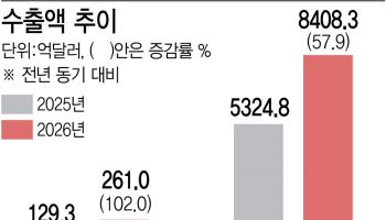 10월 초 수출 261억달러 신기록…반도체는 170% 뛰며 '역대 최대'