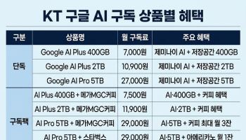 KT, 구글 AI 구독 8종 출시…월 7500원부터 이용