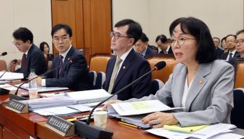 국감 오른 카카오 '브랜드 메시지'…"위법 여부 조속히 결론 내야"