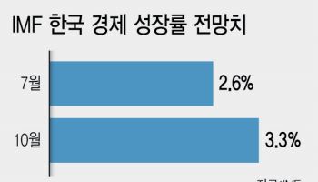 IMF도 韓 성장률 2.6→3.3% 올렸지만…가계엔 온기 안 돈다