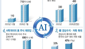 월가 "AI 블랙홀, 거품 붕괴땐 韓도 직격탄" 경고