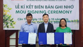 '아시아의 허파' 키운다…SK이노베이션, 베트남에 맹그로브 숲 200ha 조성