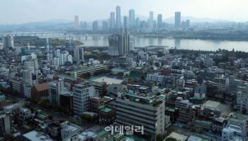 "토허제, 집값 못 잡고 거래 위축"…'손질' 공감 속 해법 다양