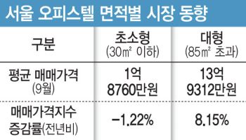 “원룸은 빠지고 아파트형은 뛰고”…오피스텔 시장 분화