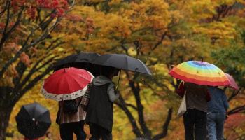 "우산 챙기세요"…이번 주말, 전국 곳곳 강한 비 예보