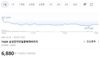 "단 하루 만에 -22% 폭락?"…또 신저가 찍은 '삼전·닉스' 레버리지