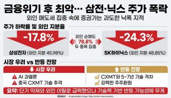 삼전닉스 금융위기 이후 최악의 폭락인데…증권가는 왜 괜찮다 할까