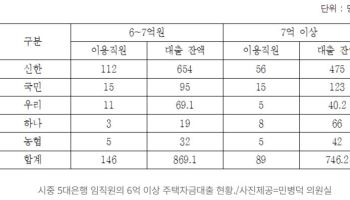 주택대출 6억원 한도는 남 얘기?…5대은행 임직원 28% 초과 대출