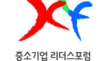 "중소기업 AI 활용 경쟁력 강화 방안은"