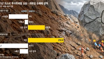 "오를 줄 알았는데 이럴 수가"…개미 '저가 매수' 4년 잔혹사