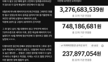 '삼닉' 35억 찍었다가 2억 남은 직장인…"이번에 한 건 도박"