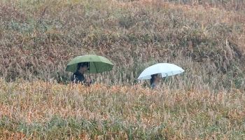 "겉옷·우산 챙기세요"…일교차 10도 이상, 남부엔 비[오늘날씨]