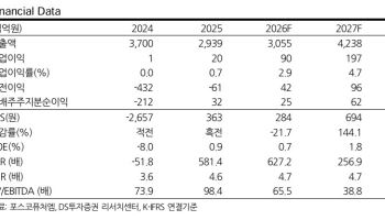 “포스코퓨처엠,“LFP 양극재 수주 가시화…목표가 29만 유지”-DS
