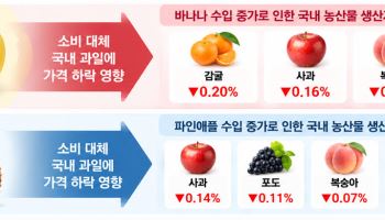 ‘할당관세’ 2653억원 지원해도…농축산물 물가 인하 효과는 0.00272%