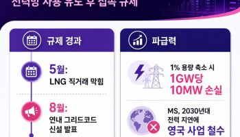 "전력망 쓰라더니 문턱 올리나"…AI 데이터센터, '그리드코드' 규제 우려
