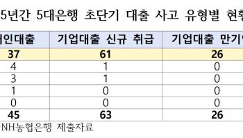 대출 후 6개월 내 금융사고 134건…93%가 국민은행에 집중