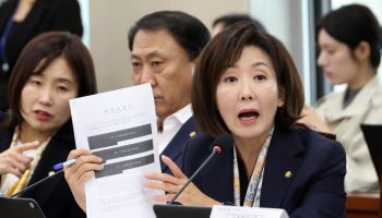 李 질문엔 “궤변”이라던 제미나이, 나경원이 물었더니