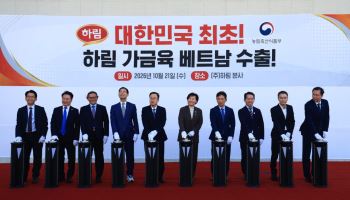 베트남 가는 용가리치킨…'K닭고기 가공품' 베트남 첫 수출