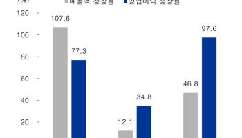 "내년 화장품, 더마코스메틱 통한 수익성 개선 주목"