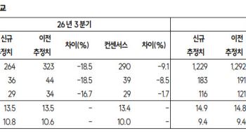 에스엠, 3분기 주춤해도 내년은 달라…라이즈·NCT 월드투어 기대-SK