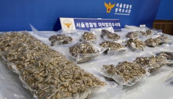 전세사기 후 8년 도피하며 대마 유통…태국서 송환된 마약사범 구속