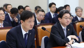 애플페이 도입 1곳뿐…외국인 관광객 늘어도 결제는 제자리