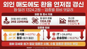 외국인 투매에도 연저점 경신하는 환율…수혜주와 피해주는?