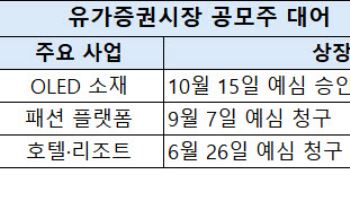 연말 IPO 대어는 어디…SFC 등판·무신사 심사에 쏠린 눈
