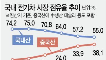 세액공제 빠진 전기차…年2조 아끼다 車생태계 무너질라
