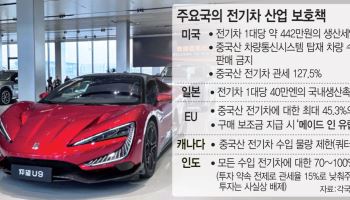 값싼 중국산車 득보는 보급 예산만 증액…국내생산 인센티브 절실