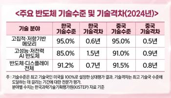 메모리 반도체 중국 추격 거세…AI 반도체는 한국 앞질렀다