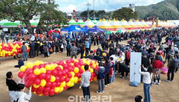 스무 돌 청송사과축제, 11월 4일 개막…블랙이글스도 뜬다