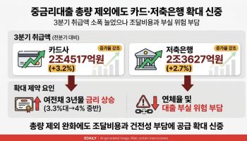 중금리대출 총량 제외에 취급액 늘었지만 카드사 확대 신중[금융 인사이트]