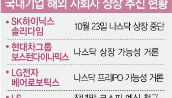 '중복상장 낙인'…대기업 美 자금조달 비상 걸렸다