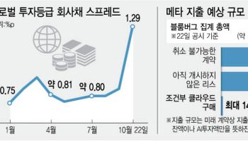 ‘빅테크 빌려준 돈 떼일라’…AI發 '돈맥경화' 우려