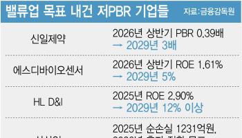 저평가 꼬리표 떼려 밸류업 공시…PBR 3배·ROE 12% 달성 가능할까