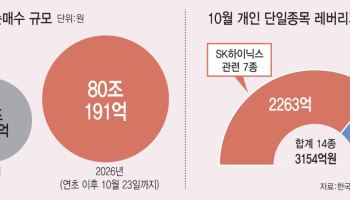 "지금이 싸다" 간 큰 개미들, 삼전·닉스 2배까지…ETF에 80조 베팅