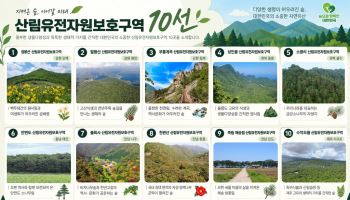 점봉산 곰배령 등 미래세대에 물려줄 산림유산 지정