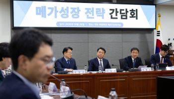 "교통망 구축·비자 제도 정비"…與 메가특위, 지방성장 전략 구체화
