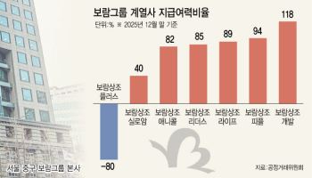 상조사 잇단 폐업에…보람그룹 재무건전성 '경고등'