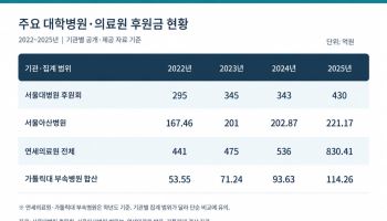 점점 불어나는 후원금…"사용 과정 투명성 높여야"