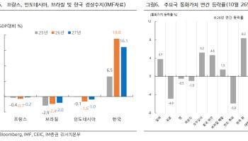"브라질까지 재정 리스크 전염 헤알화 급락…한국엔 'AI 방패막'"