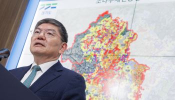 3.7만본 고사한 경기 가평, 소나무재선충병 특별방제구역 지정