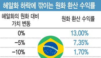 “연 13% 고금리 믿었는데”…헤알화 급락·국채금리 급등에 ‘환차손 공포’