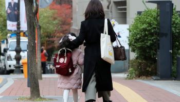 보험가입 의무인데 관련 상품 없고 기준 난해